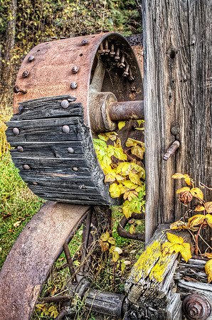 Steel Wheels with Yellow Leaves