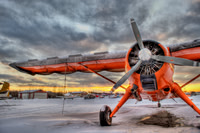 Beaver at Sunset