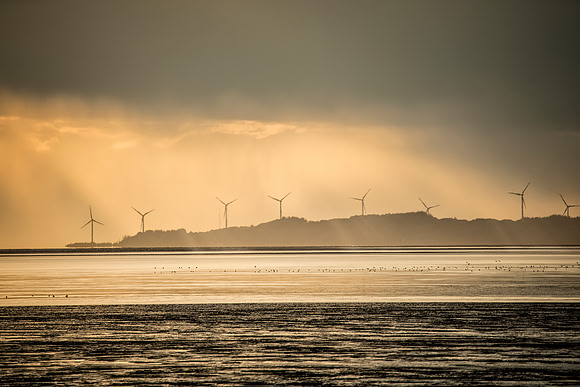 Wind Turbine Sunset