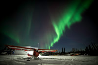 Champion Under the Aurora