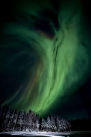 Tall Aurora