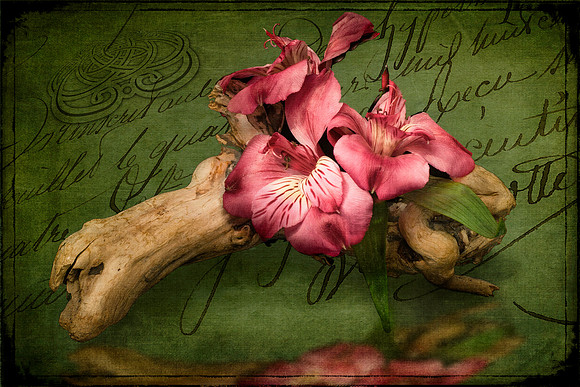 Flowers on Driftwood Composite