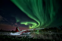 Red and White Beaver under the Aurora