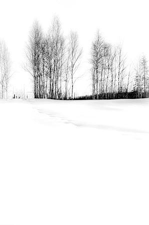 Snow Textures Black and White