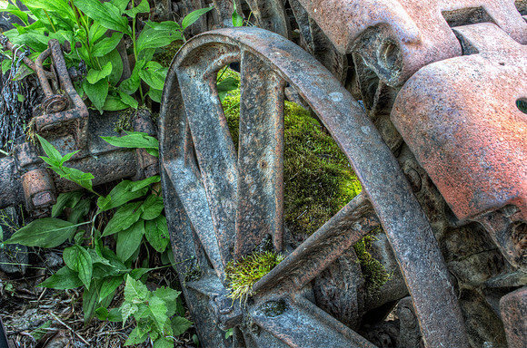Moss On Steel Wheel